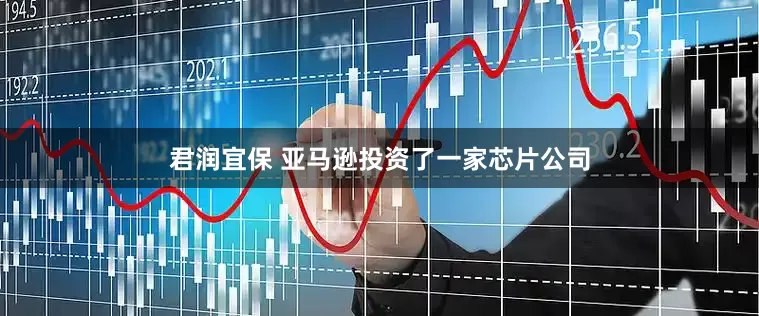 君润宜保 亚马逊投资了一家芯片公司