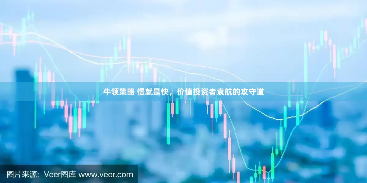 牛领策略 慢就是快，价值投资者袁航的攻守道