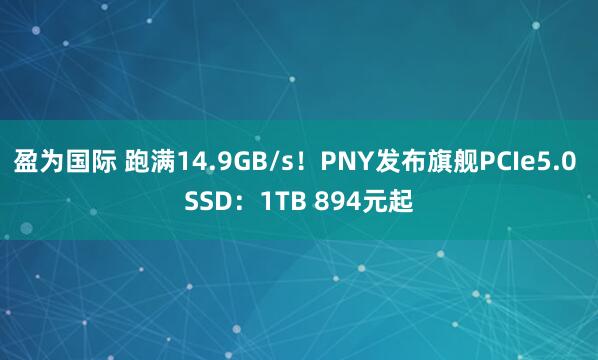 盈为国际 跑满14.9GB/s!PNY发布旗舰PCIe5.0 SSD:1TB 894元起